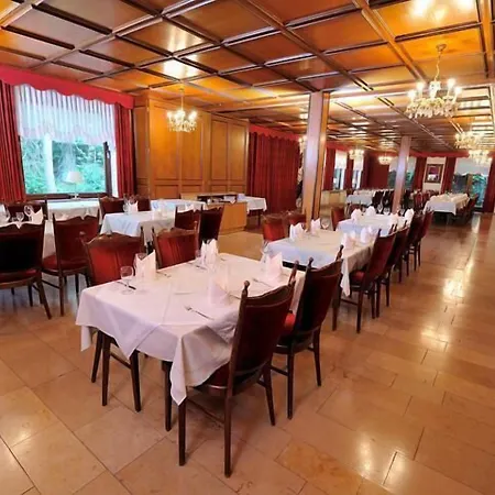 Wald-cafe Hotel-restaurant 4*